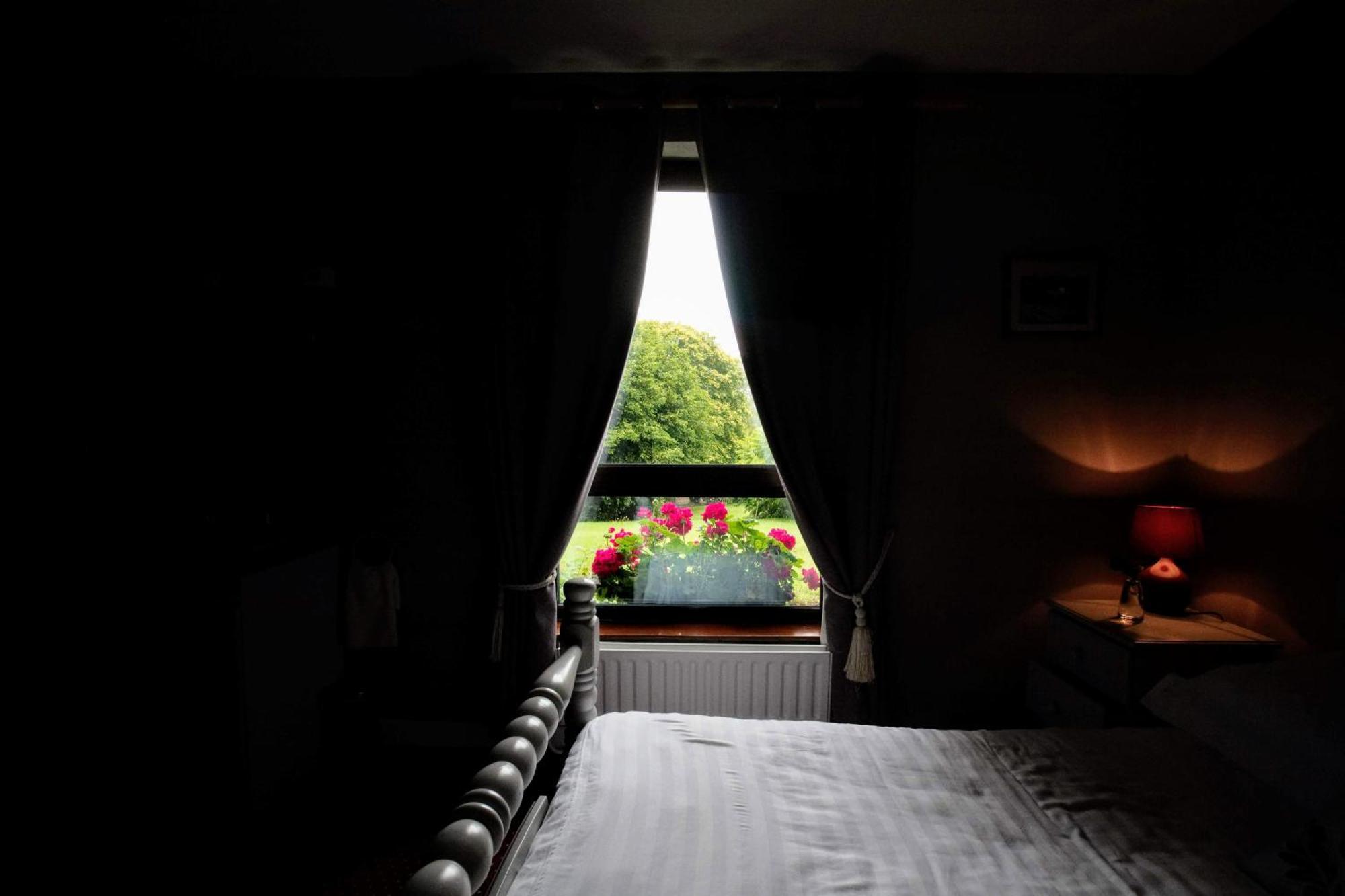 גלוואיי Abbey View Bed & Breakfast מראה חיצוני תמונה